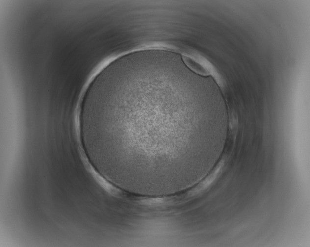 X0000113641054200909251237