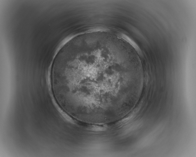 X0000113641055200909251237