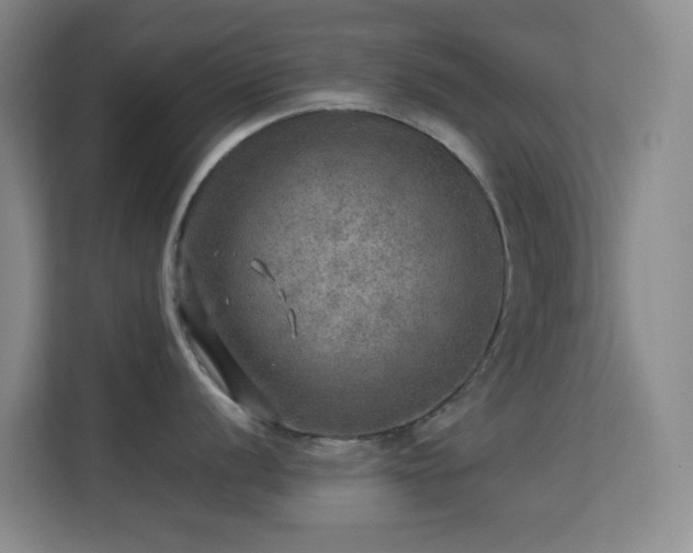 X0000113641056200909251237