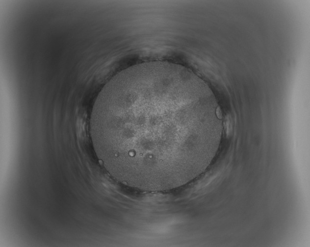 X0000113641059200909251236