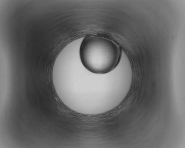 X0000113641060200909251236