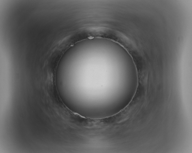 X0000113641061200909251236