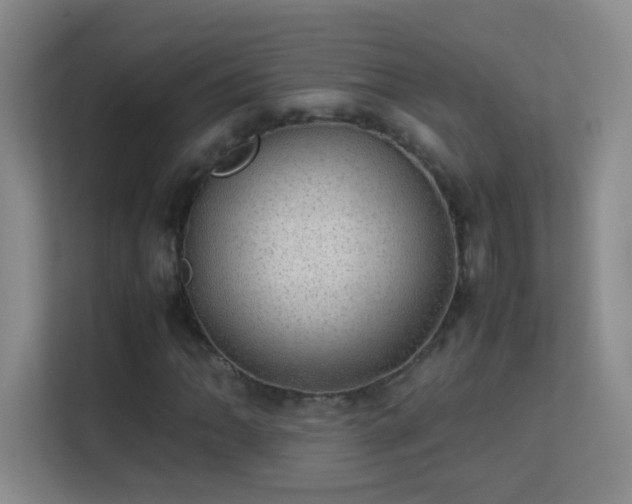 X0000113641062200909251236