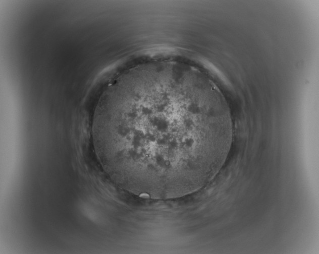 X0000113641063200909251236