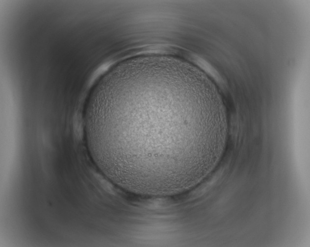 X0000113641067200909251236