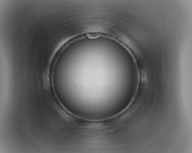 X0000113641068200909251236