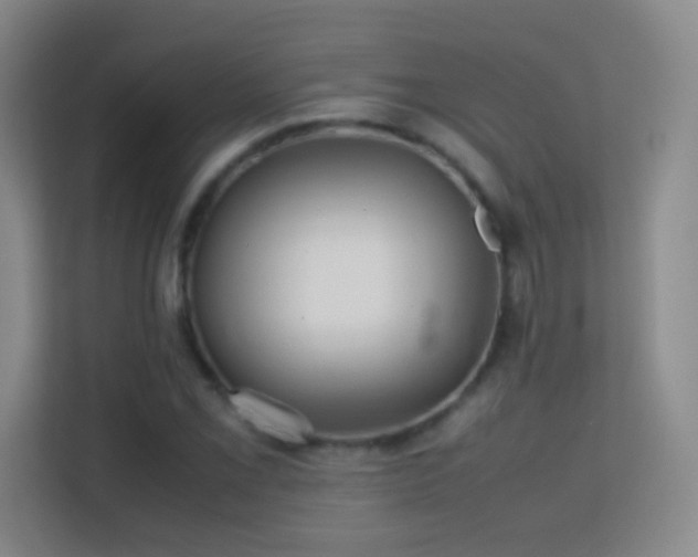 X0000113641069200909251236