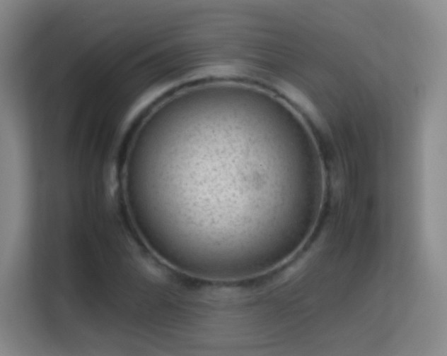 X0000113641070200909251236