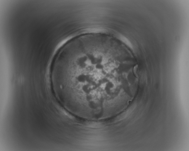 X0000113641071200909251236