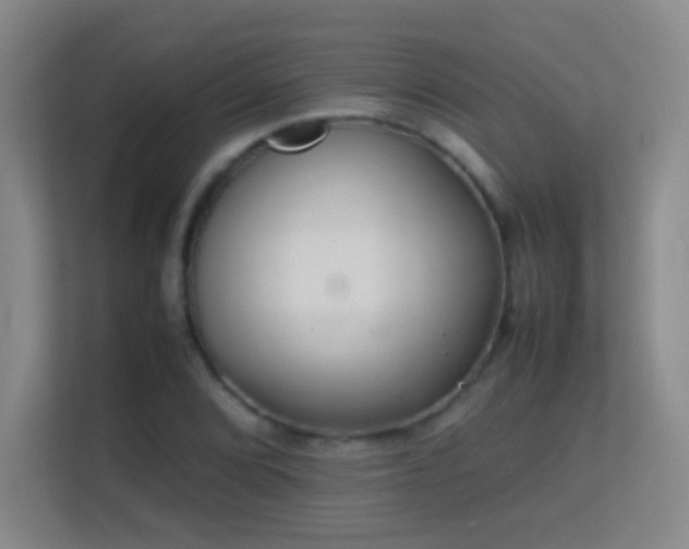 X0000113641072200909251236