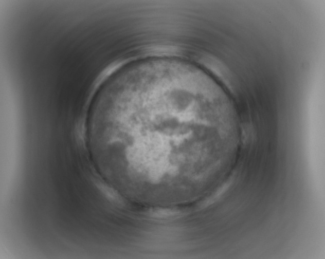 X0000113641074200909251236