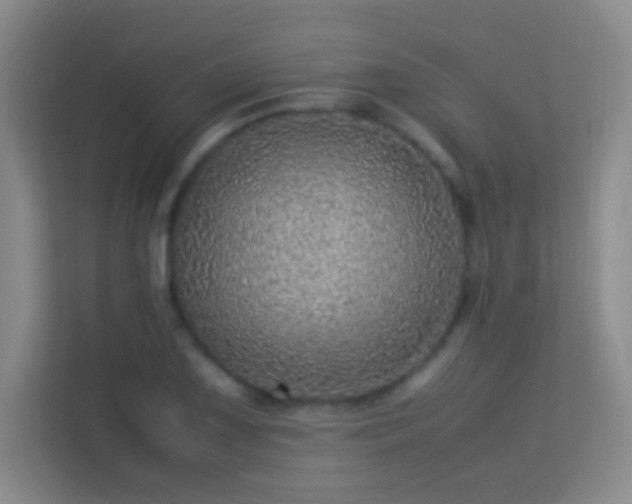 X0000113641075200909251236