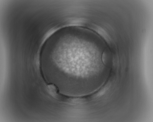 X0000113641077200909251236