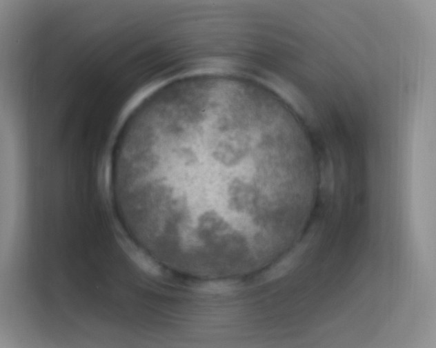 X0000113641078200909251236