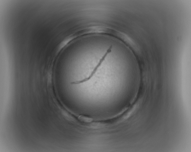 X0000113641081200909251236