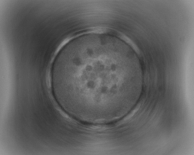 X0000113641083200909251236