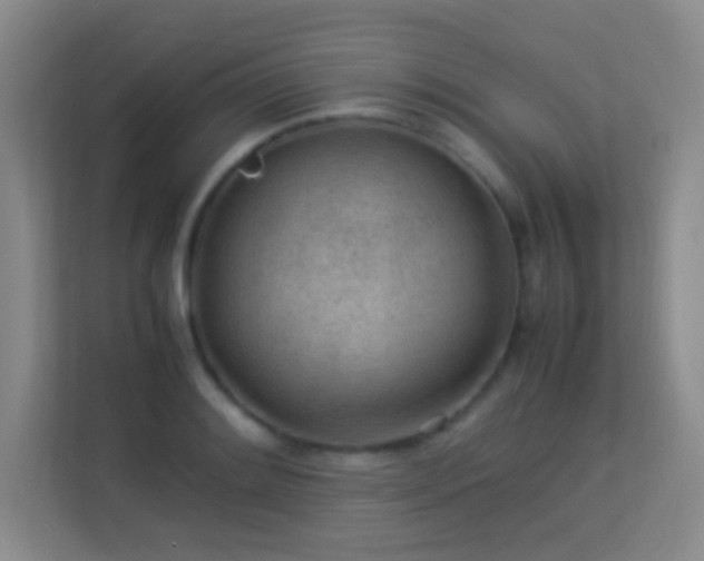 X0000113641084200909251236