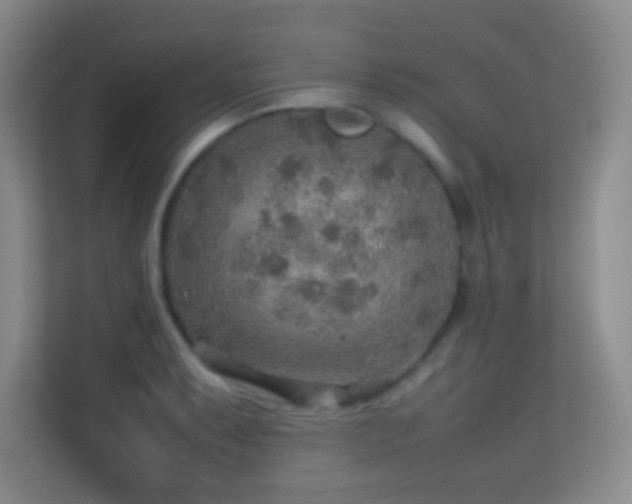 X0000113641087200909251236