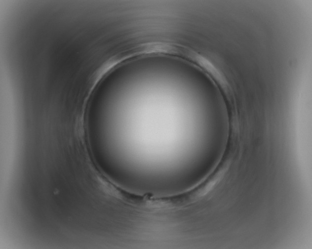 X0000113641089200909251236