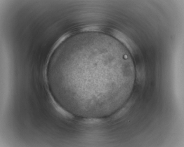 X0000113641090200909251236