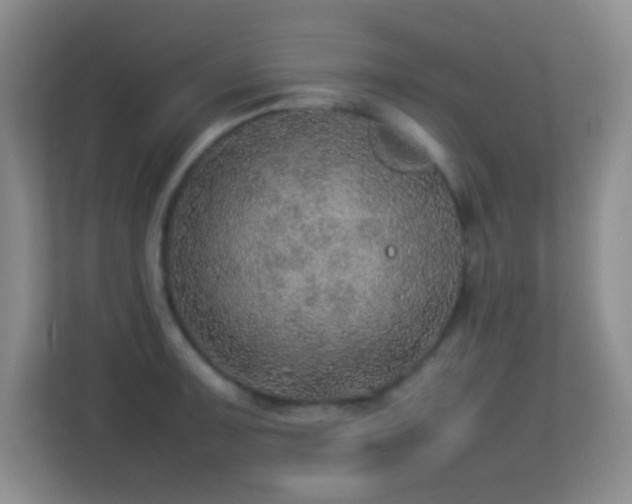 X0000113641091200909251236