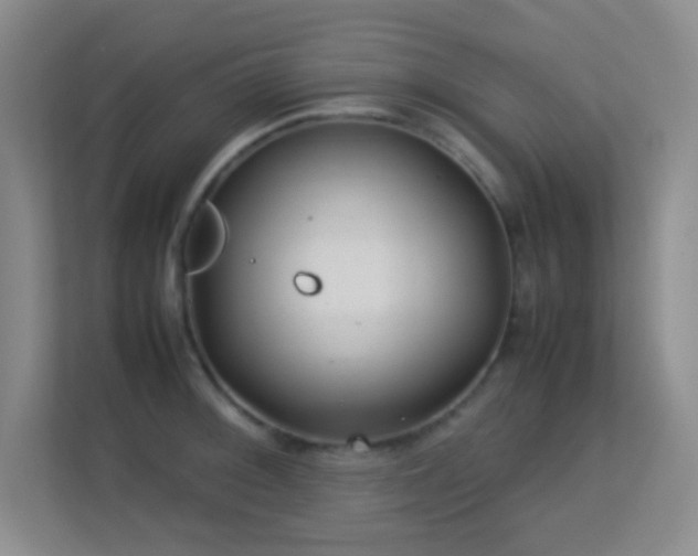 X0000113641092200909251236