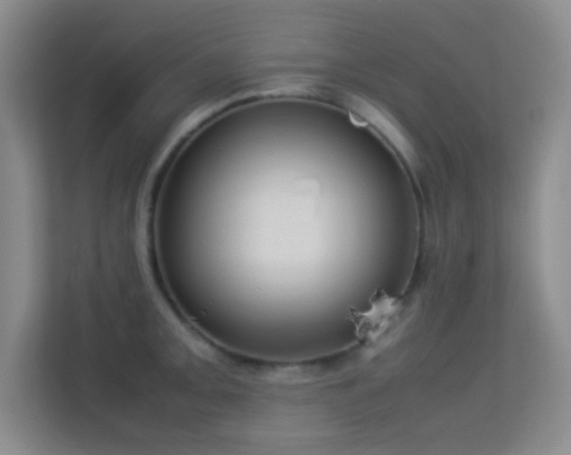 X0000113641093200909251236