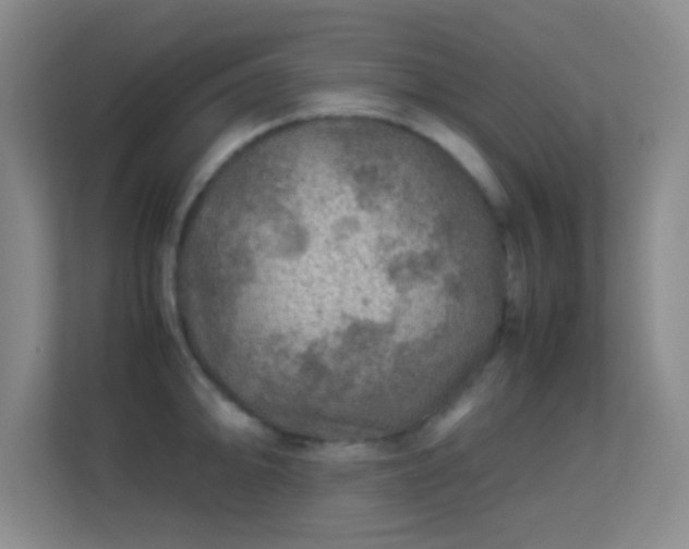 X0000113641094200909251236