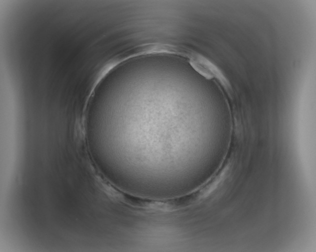 X0000113641097200909251236