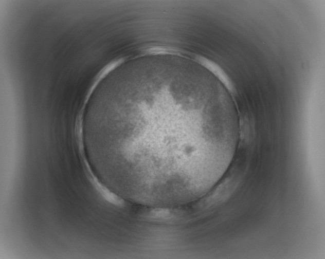 X0000113641098200909251236