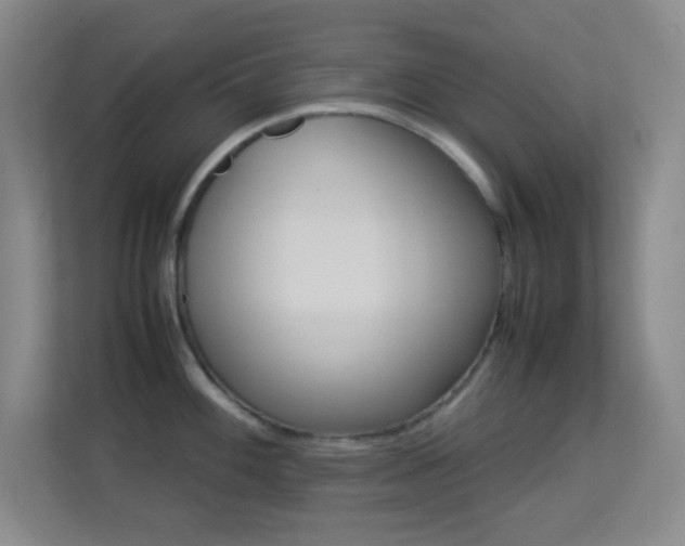 X0000113641100200909251236