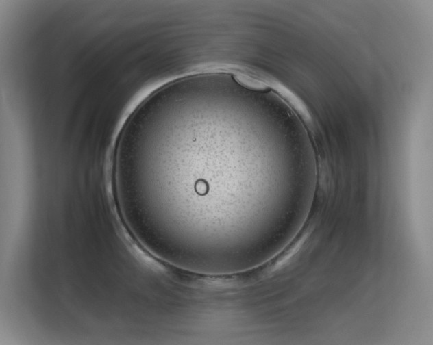 X0000113641102200909251236