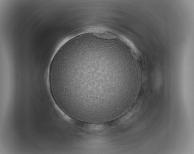 X0000113641103200909251236