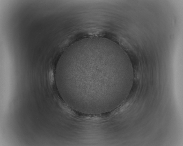 X0000113641106200909251235