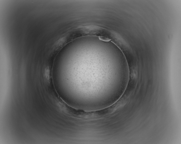 X0000113641108200909251235