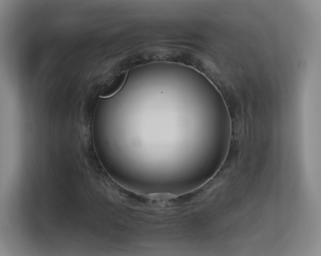 X0000113641109200909251235