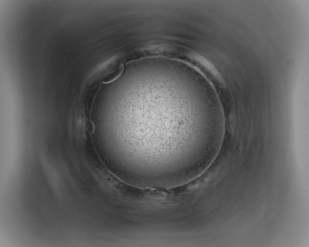 X0000113641111200909251235