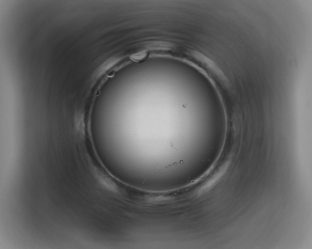 X0000113641113200909251235