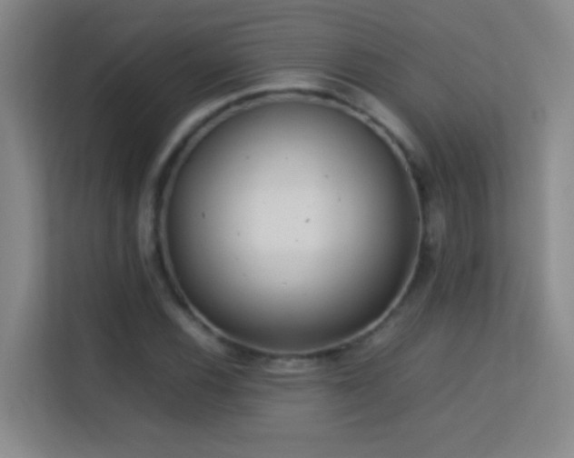 X0000113641116200909251235