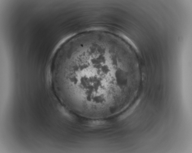 X0000113641117200909251235