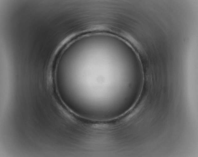 X0000113641118200909251235