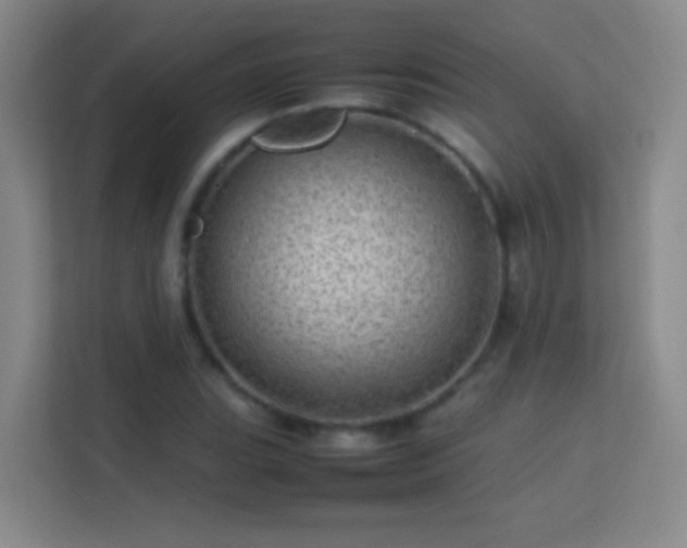 X0000113641119200909251235