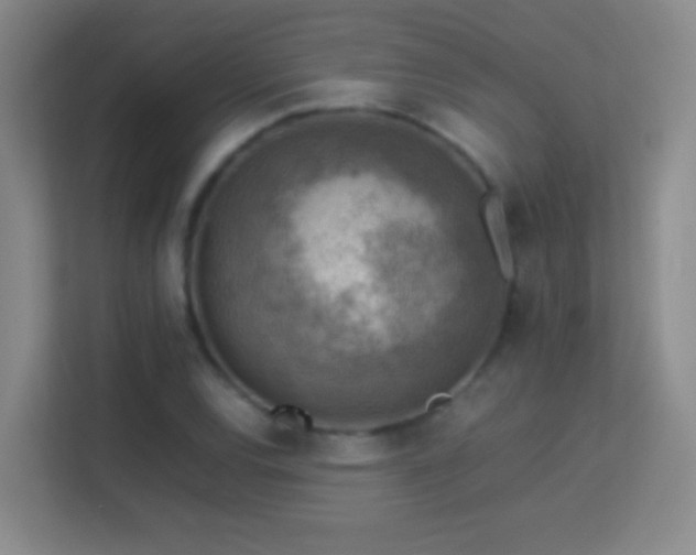 X0000113641120200909251235