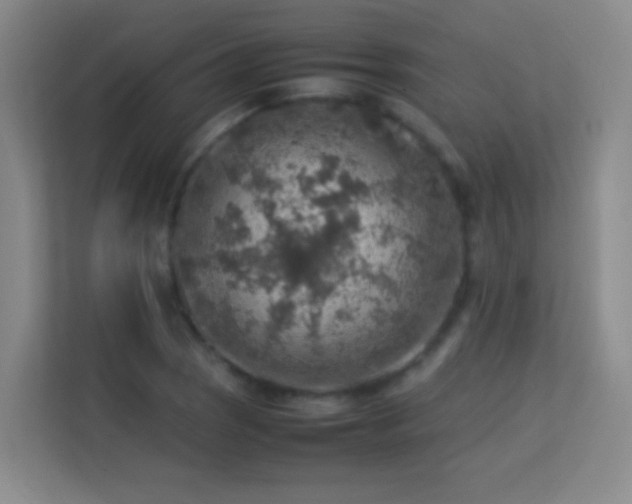 X0000113641121200909251235