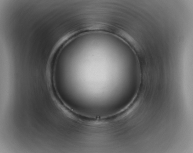 X0000113641122200909251235