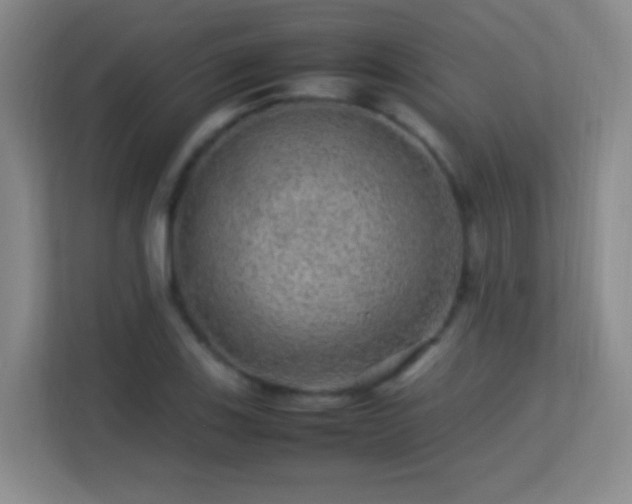 X0000113641123200909251235