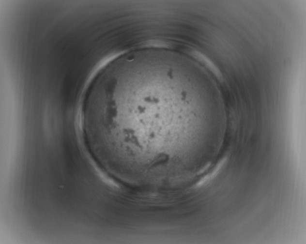 X0000113641125200909251235