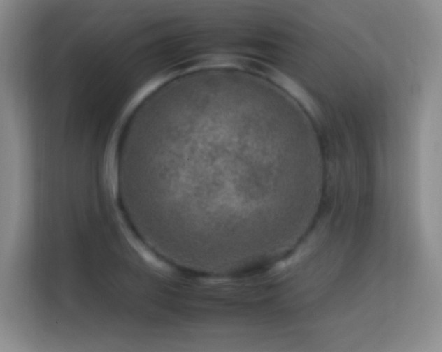 X0000113641127200909251235