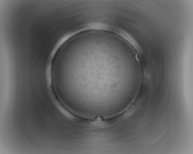 X0000113641128200909251235