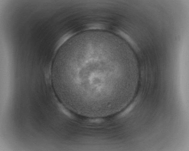 X0000113641129200909251235